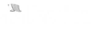 JJWIN logo for online casino platform
